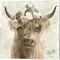 Cow and Crown by Stellar Design Studio 14" x 14" Canvas Wall Art (Set of 2)